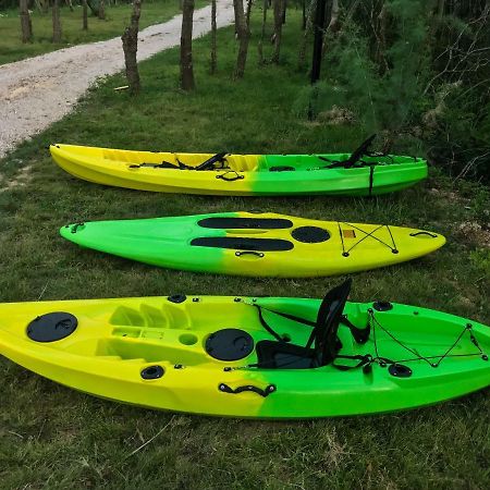 Hakuna Matata Apartments Ulcinj Eksteriør bilde